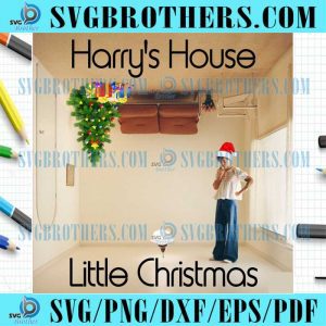 harry-style-hause-little-christmas-gift-png